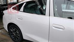 بي واي دي سيل 06 DM-i